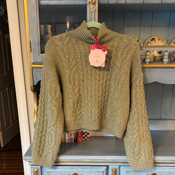 Pink Rose Sweaters - Cozy willow green  Cable Knit Turtleneck Sweater